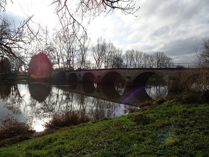 De SAUMUR à MONTREUIL-BELLAY en 1 jour