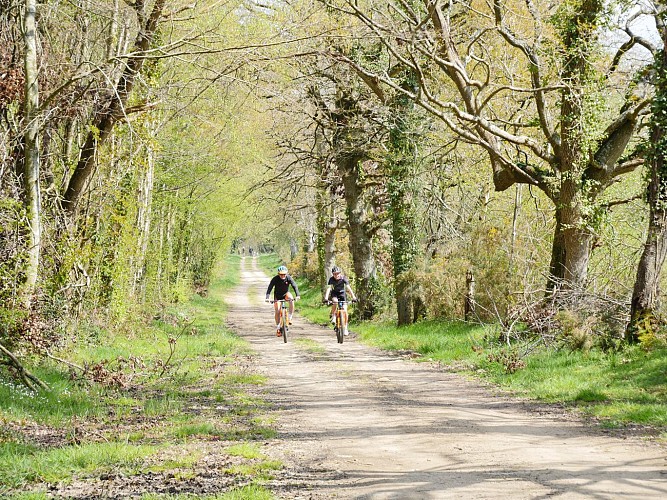 Vélo - Les balcons de la Baie