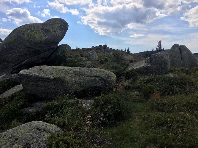 Randos 3 Frontières: Randonnée de 4 jours, le tour de la Vallée de Munster