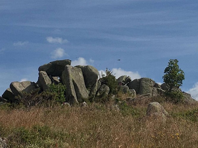 Randos 3 Frontières: Randonnée de 4 jours, le tour de la Vallée de Munster