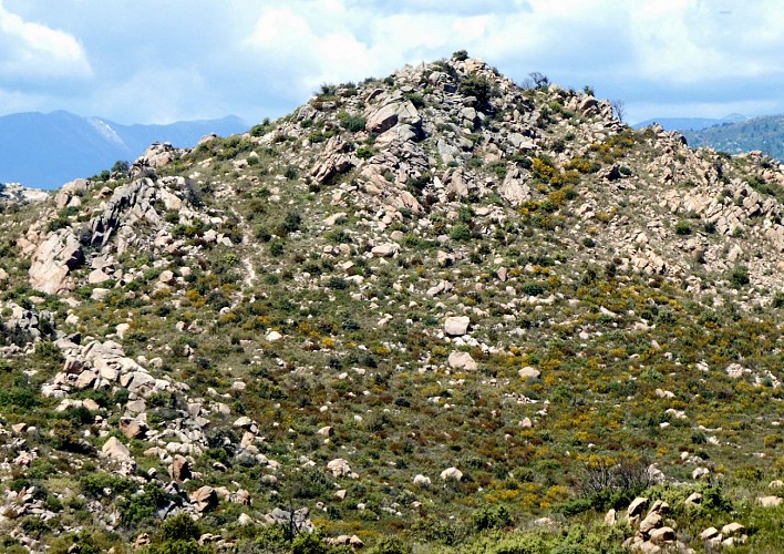 AU LOIN, LE PIC PEDROS