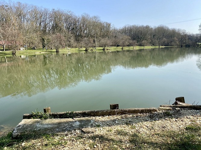 Etang Suilly - Mars 2021 - CBO (12)