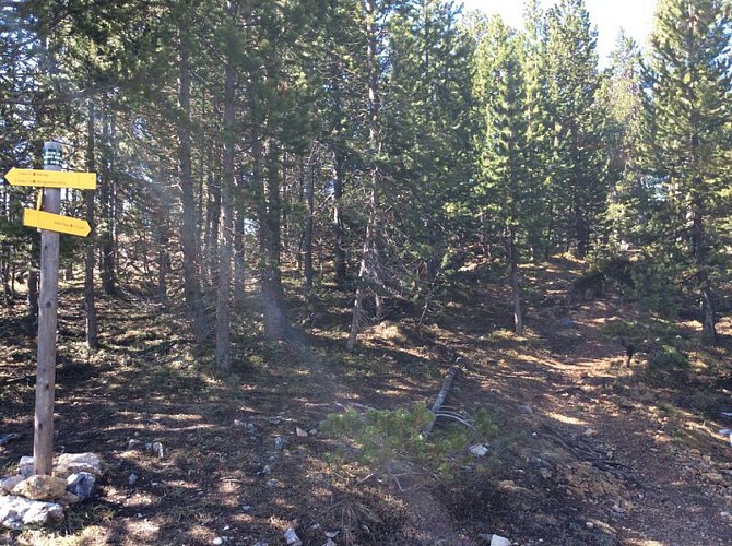 Randonnée - Le Rocher Diseur