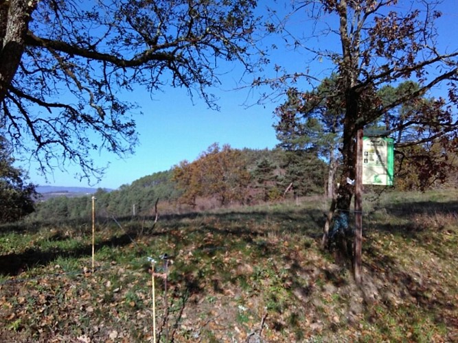 puy turlau_6