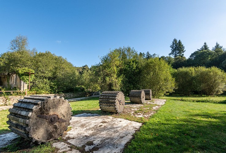 Circuit Trail autour de la Vallée des Papéteries