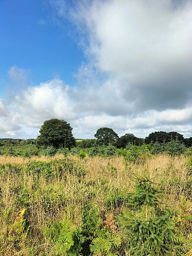 Hentou Treuz San Nigouden