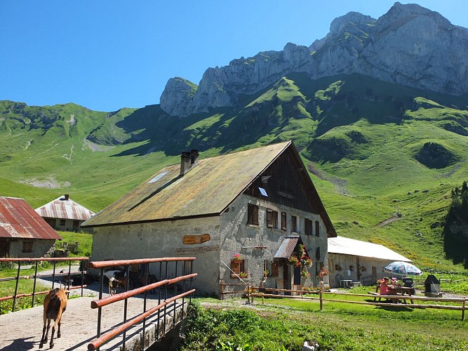 GR®5 Alpen (2): Bise - Trebentaz (La Chapelle d'Abondance)