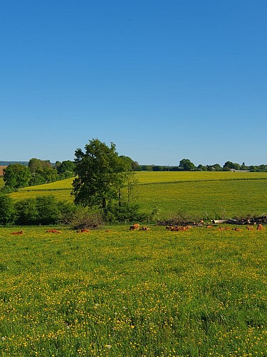 Circuit bocage et champagne