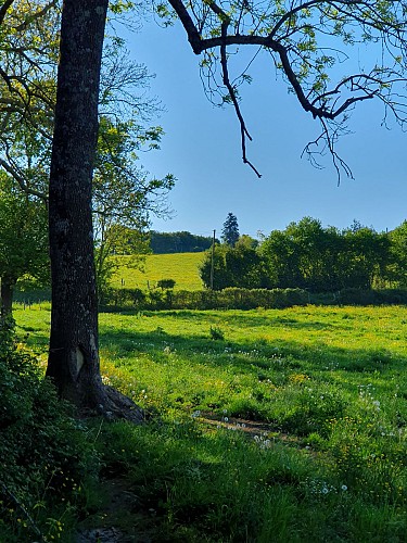 Circuit bocage et champagne