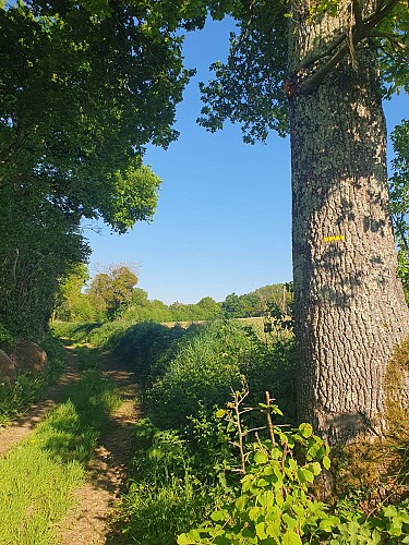 Circuit bocage et champagne