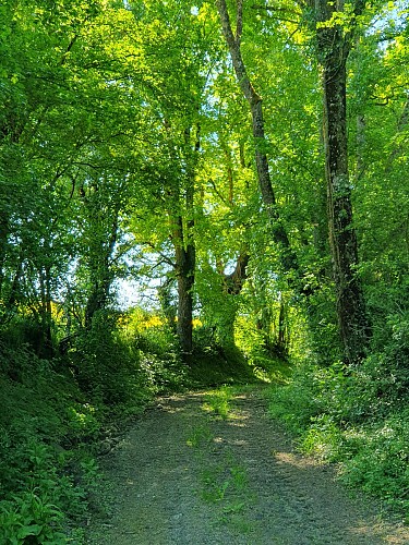 Circuit bocage et champagne