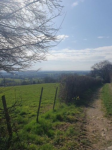 Vue depuis Hantenaise