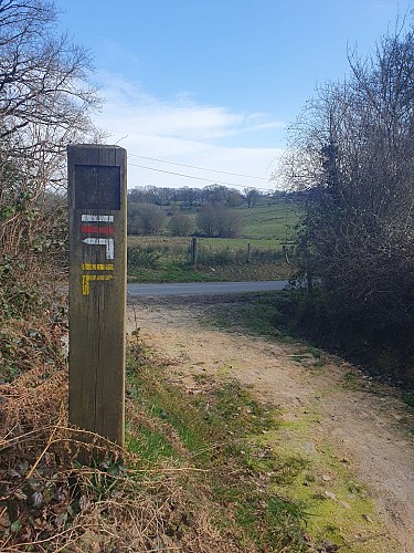 Sortie de la forêt de Sillé