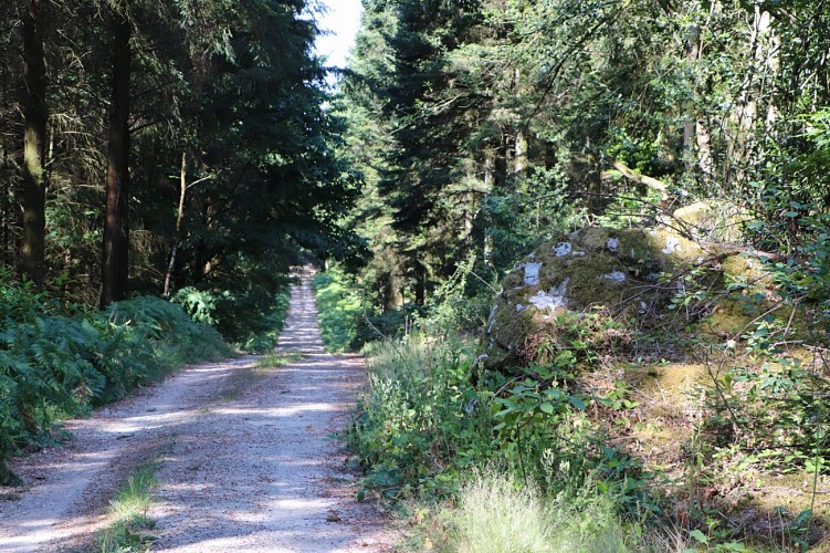 PEZÉ-LE-ROBERT - CIRCUIT LE VILLAGE ET LA FORÊT 