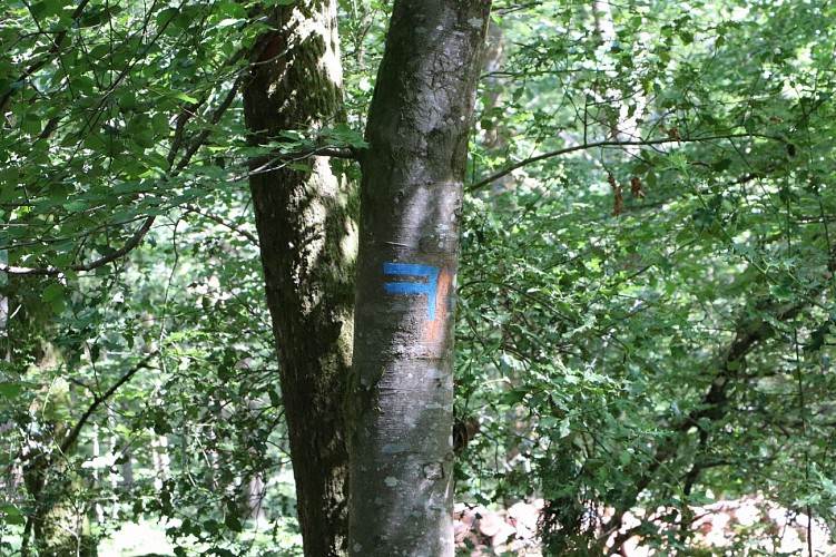 PEZÉ-LE-ROBERT - CIRCUIT LE VILLAGE ET LA FORÊT 