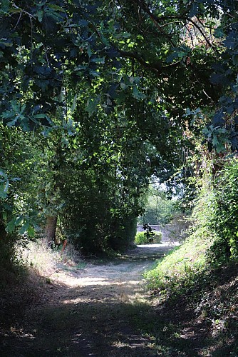 PEZÉ-LE-ROBERT - CIRCUIT LE VILLAGE ET LA FORÊT 
