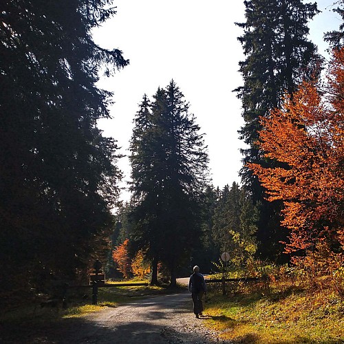 Plateau de Revard, vers Teppe de Larcoutier