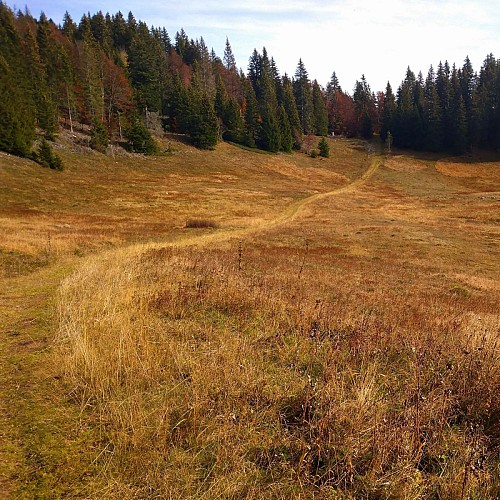 Plateau du Revard, Bellecombe