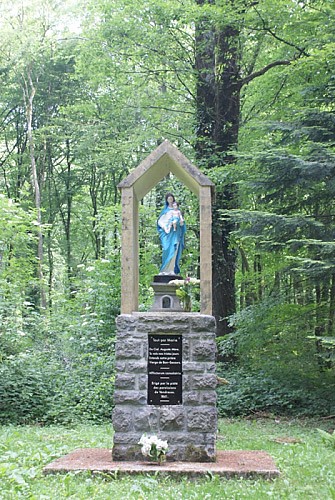 Escapades sur les Crêtes n°16 - L'Arboretum du bois de la Vierge (Vendresse - 1,2km)