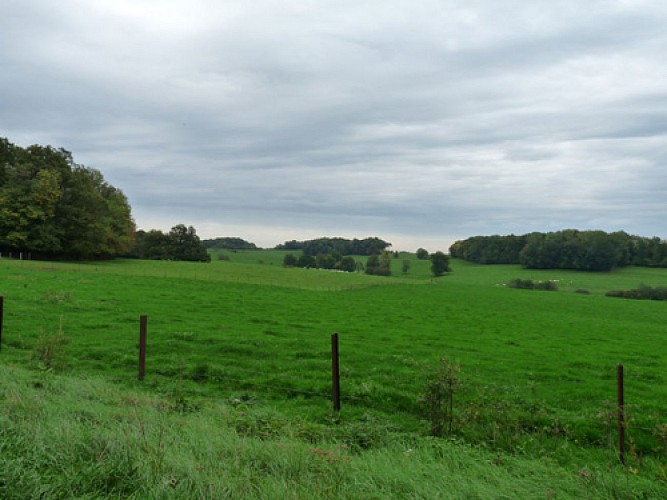 Escapades sur les Crêtes n°63 - Sentier découverte de la Crête des Charrières (Dommery - 4km)