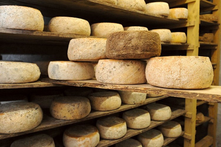 Escapades sur les Crêtes n°5 - Sur les hauteurs à Champigneul (Champigneul-sur-Vence)