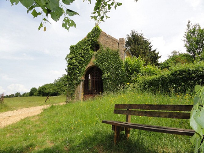 Escapades sur les Crêtes n°8 - Le bois d'Enelle (Boulzicourt - 9,6km)