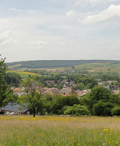 Escapades sur les Crêtes n°8 - Le bois d'Enelle (Boulzicourt - 9,6km)