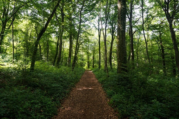 Sur la Transgaumaise ®