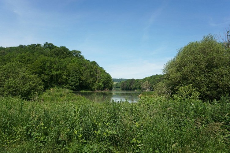 Sur la Transgaumaise ®