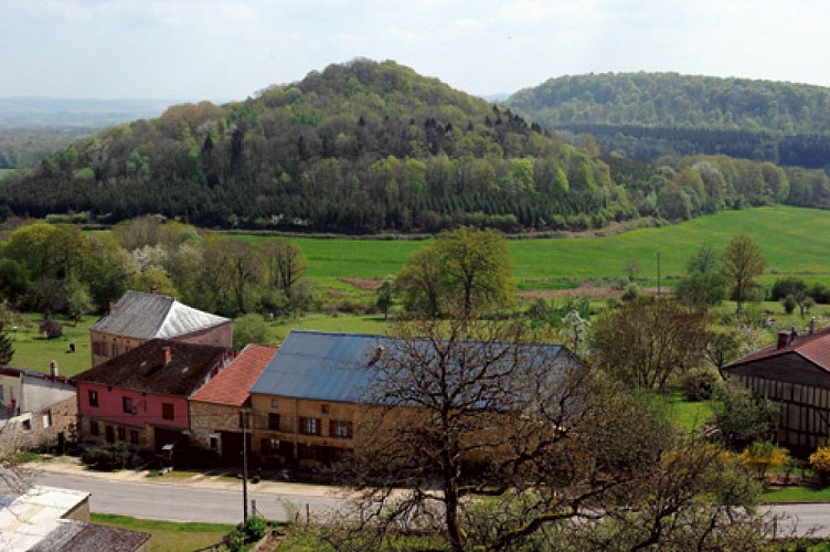 Randonnée - Le bois de Chagny