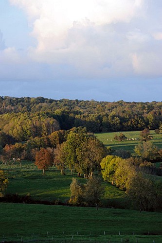 Escapades sur les Crêtes n°20 - Le château des Loches (Mazerny - 6,3km)
