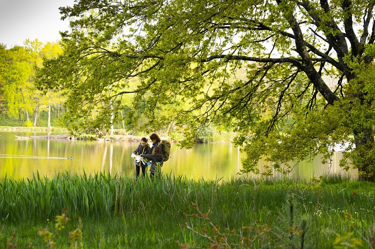 Randonnée en forêt de Sillé