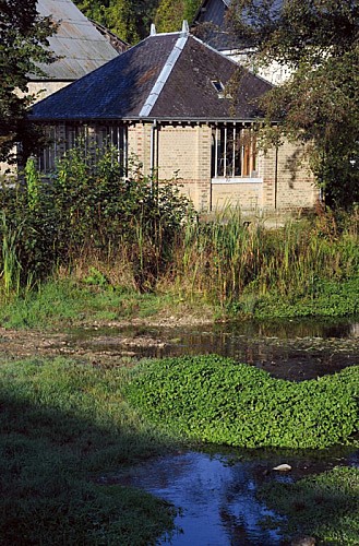 Escapades sur les Crêtes n°21 - Balade au Saint-Lambert (Saint-Loup-Terrier - 9,7km)