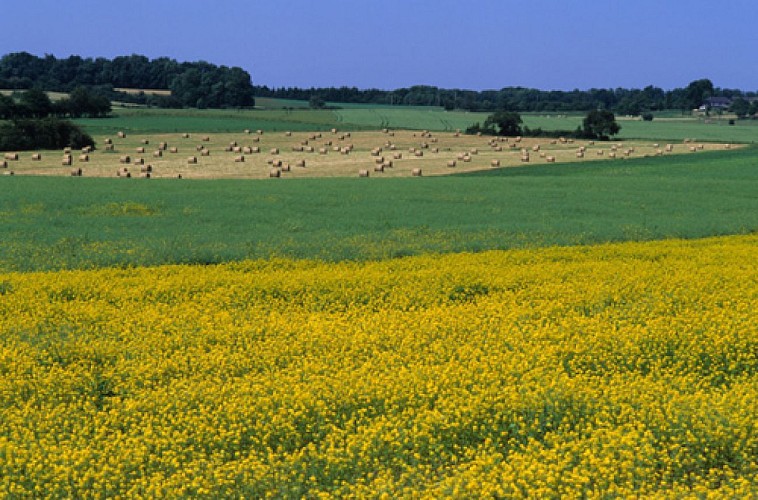 Escapades sur les Crêtes n°22 - À Buisonwé par Le Pas (Puiseux)