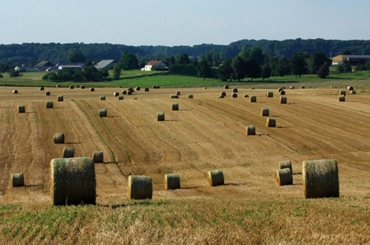 Escapades sur les Crêtes n°22 - À Buisonwé par Le Pas (Puiseux)