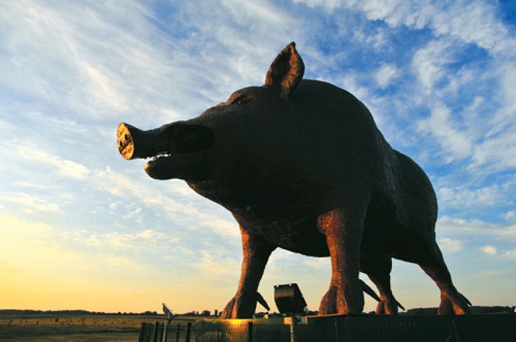 Escapade sur les Crêtes n°23 - Promenade composée (Saulces-Monclin - 10km)
