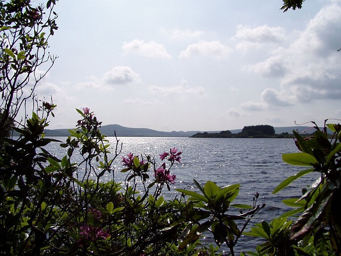 Brennilis : circuit VTT de Brennilis