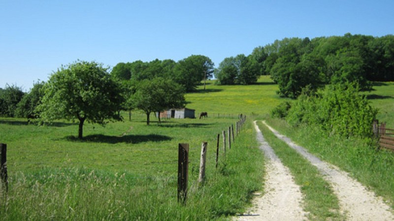 Escapades sur les Crêtes n°27 - Au cœur des vergers du Tourteronnais (Guincourt - 8,8km)