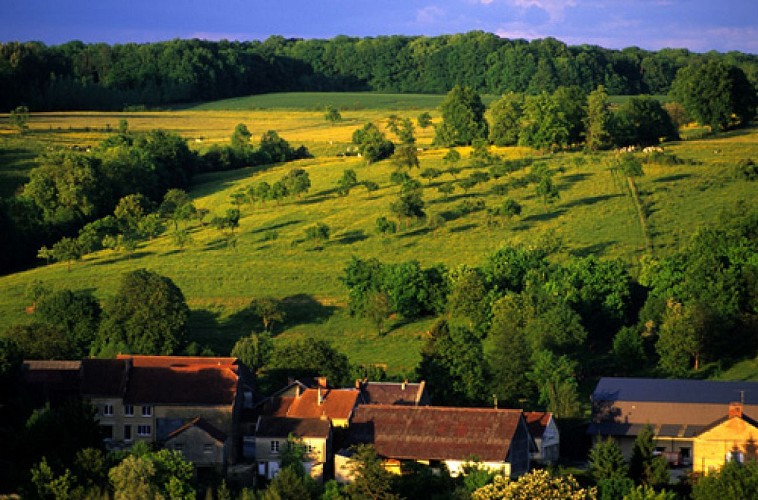 Escapades sur les Crêtes n°28 - Tourteron & son architecture (Tourteron - 2,5km)