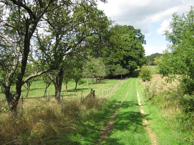 Escapades sur les Crêtes n°29 - L'autre visage du Tourteronnais (La Sabotterie - 11,9km)