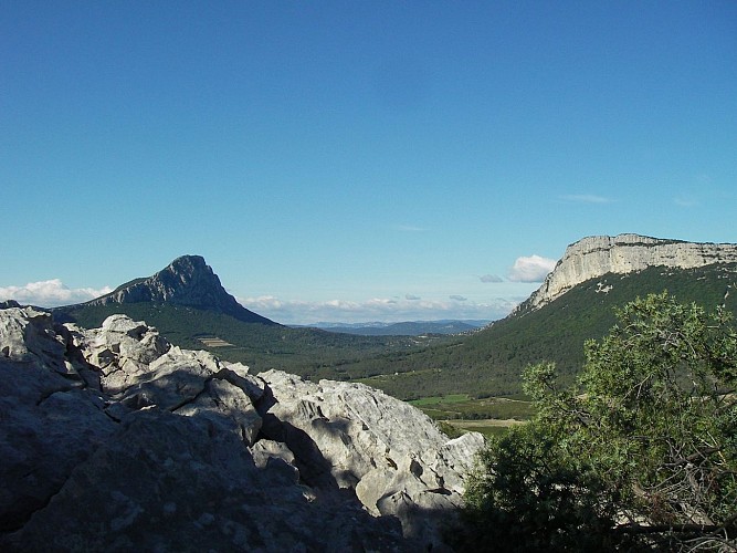 VIGNES EN PAYSAGES