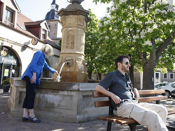 Fontaine - Welferding