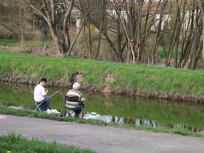 Bords de Sarre - Welferding