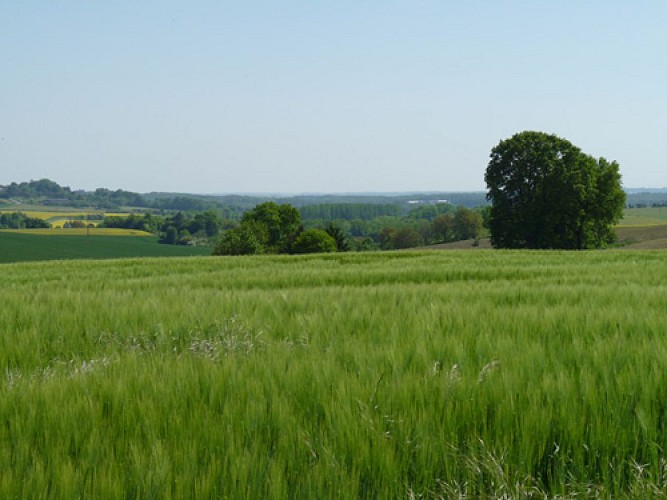 Randonnée - Sentier des poètes