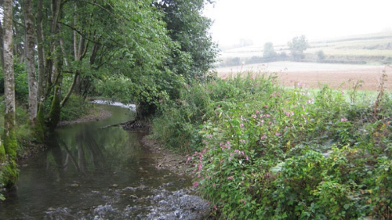 Escapades sur les Crêtes n°38 - Aux portes du Porcien (Novion-Porcien - 11,6km)