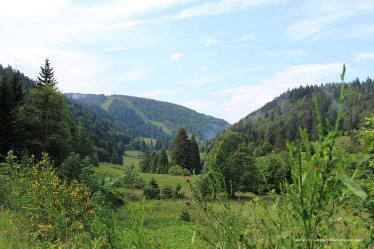 Walk en passant par thiaville