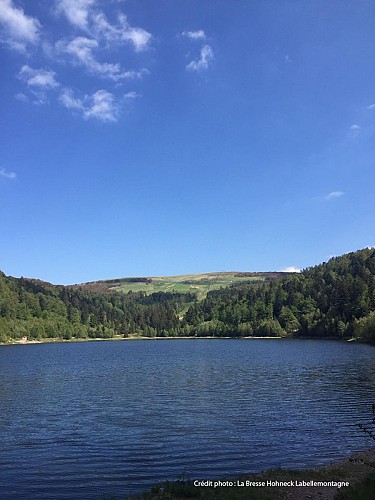 WANDERUNG EN PASSANT PAR LA LANDE