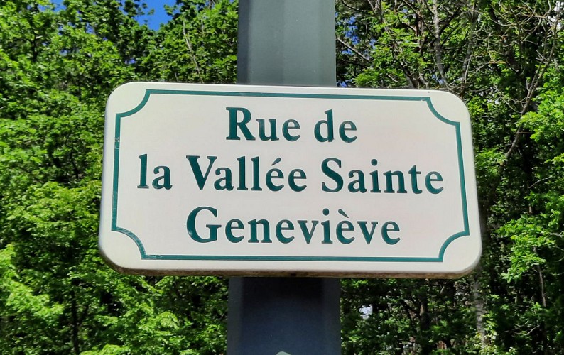 Fonds Sainte Geneviève-  Verneuil En Halatte (60550)