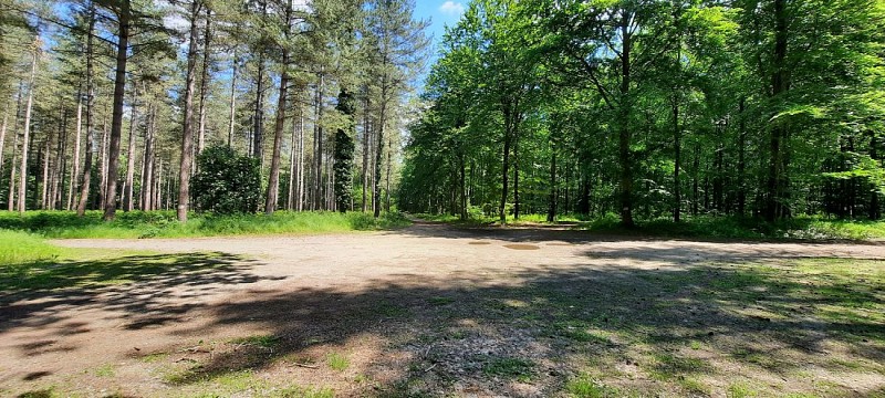 Carrefour des Bouleaux