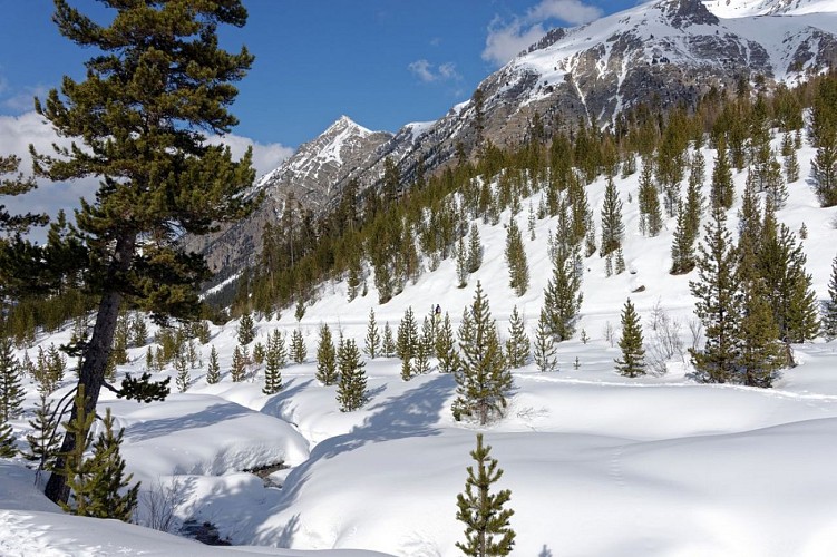 Piste des Oules - Cervières